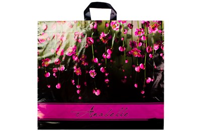 Интерпак 60х50 Анабель /10уп х 25шт/ ПВД 70мкм (250шт) петля 5776