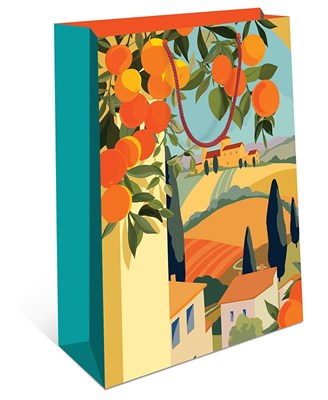 Бум пакеты 26х32х12 Апельсины    0193.413 НФ-00022333