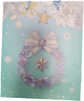 Бум пакеты НГ 19,5*8*23,5 YXL-1150S НФ-00025950