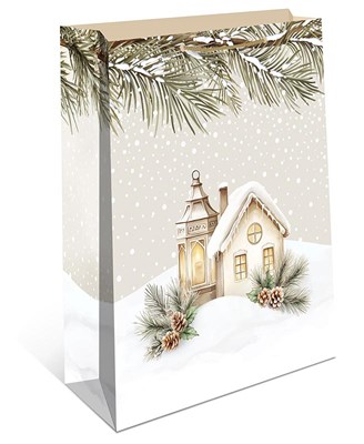 Бум пакеты 12х15х7 Зимний домик  0191.601   НГ НФ-00026010