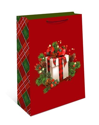 Бум пакеты 12х15х7 Подарок  0191.607   НГ НФ-00026011