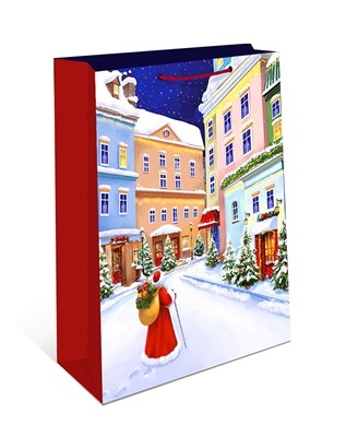 Бум пакеты 12х15х7 Дед мороз  0191.611   НГ НФ-00026012