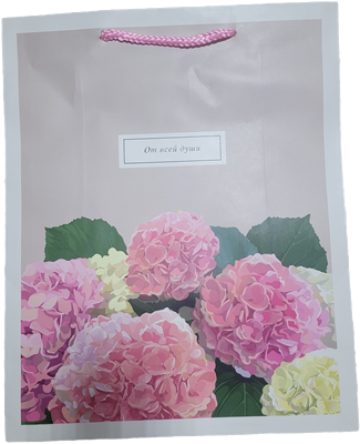 Бум пакеты 26х32х12 От всей души  0193.773 НФ-00026052