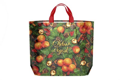 НГ Сумка Эко 60х50 ПВД  ЕЛОВЫЕ ВЕТОЧКИ /10уп х 10шт/ (100шт) 20365