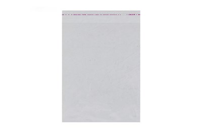 Пакет ПП с клапаном 250х280(310)мм 25мкр (1000шт) МВ НФ-00024693