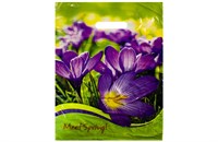 Пакет выруб  АП 32х40 Крокусы /20уп х 50шт/ (1000шт) 9366