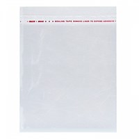 Пакет ПП с клапаном 250х380(420)мм 25 мкр (1000шт) МВ НФ-00013323