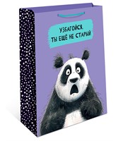 Бум пакеты 26х32х12 Еще не старый     0193.467 НФ-00022789