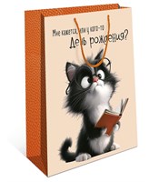 Бум пакеты 18х23х10 У кого-то день рождения    0192.417 НФ-00022779