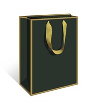 Бум пакеты  Делюкс 29 х 36 х 14  Зеленый  0557.177 НФ-00025691