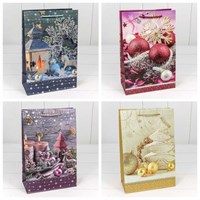 Бум пакеты НГ 20*30*10 ОМ300379К НФ-00025928