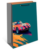 Бум пакеты 33х42х10 Авто  0195.519 НФ-00025994