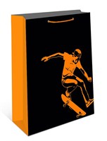 Бум пакеты 26х32х12 Скейтборд  0193.714 НФ-00026048