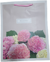 Бум пакеты 26х32х12 От всей души  0193.773 НФ-00026052