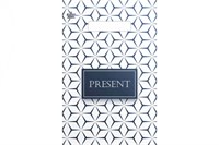 Тико 20х30 Презент стиль /30уп х 100 шт/ (3000шт) выруб 19142